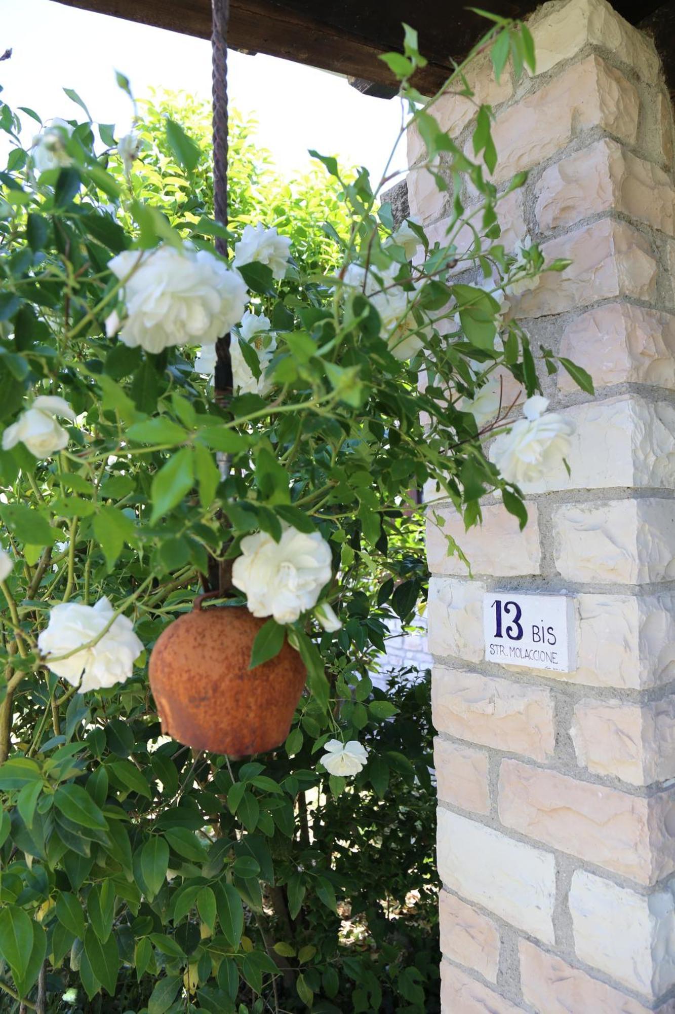 Casa La Gorga Villa Cagli Exteriör bild